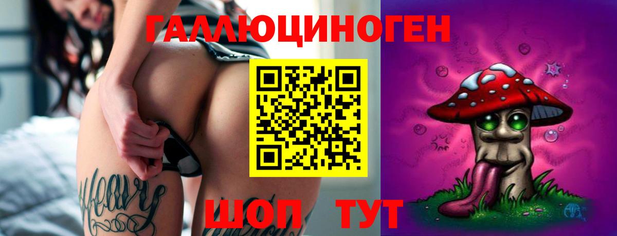 Псилоцибиновые грибы GOLDEN TEACHER  Псилоцибиновые грибы GOLDEN TEACHER  Вход с VPN  Гурьевск 